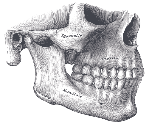 aneurysmal bone cyst jaw. bite) and jaw deformities.